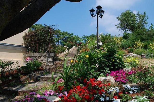 Bungalow Leo Savudrija Bagian luar foto