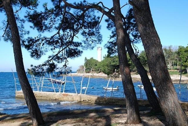 Bungalow Leo Savudrija Bagian luar foto