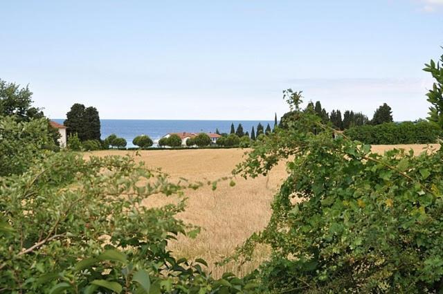 Bungalow Leo Savudrija Bagian luar foto
